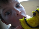 RTvisit_LastDay_Cookies (8)